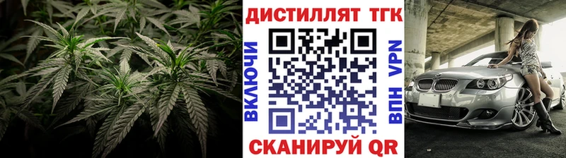 Купить где  Гатчина  ТГК THC oil 