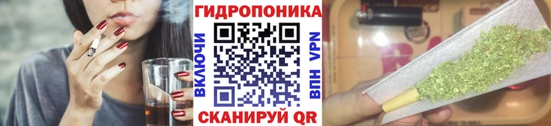 Купить закладки  Гатчина  Шишки марихуана семена 